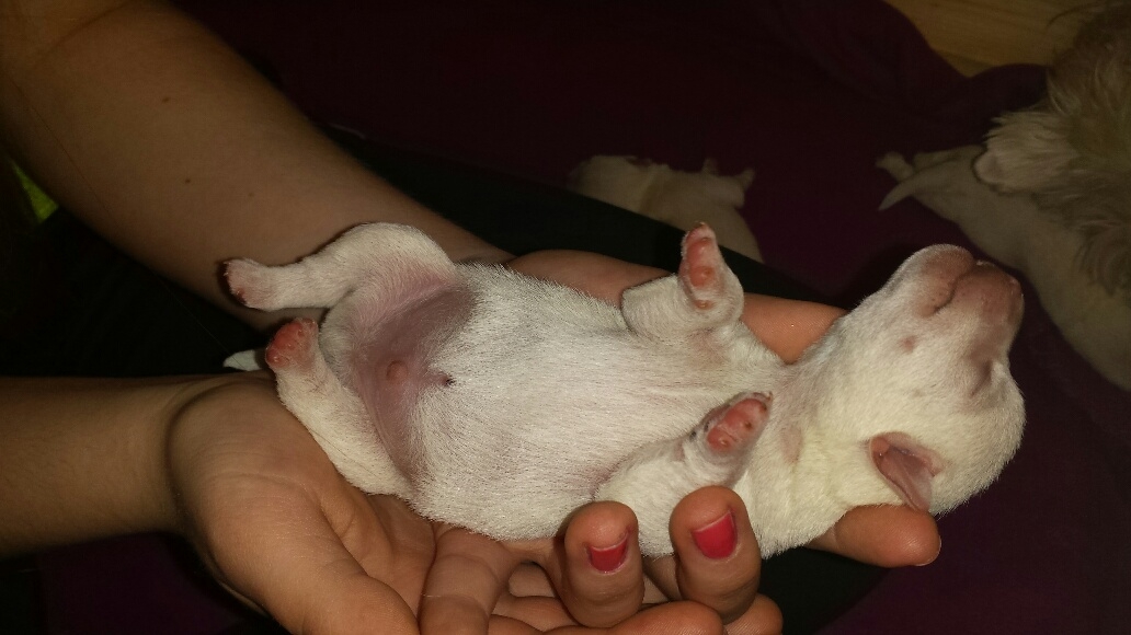 Ich f&uuml;hl mich wohl