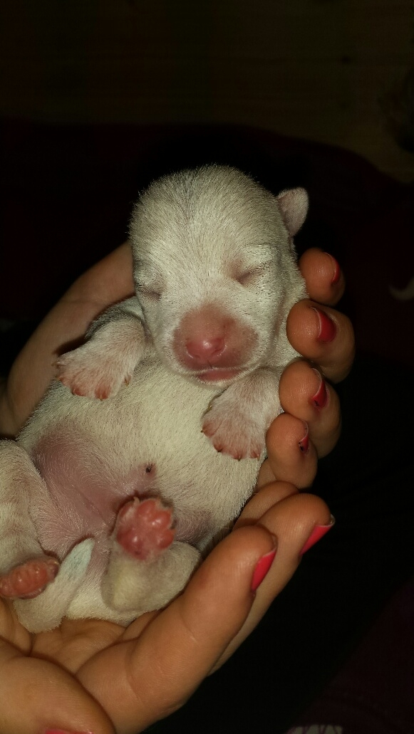 Noch habe ich die &Auml;uglein zu aber warte mal wenn ich die aufmache.....