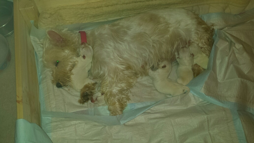 Mama Assira kurz nach der Geburt