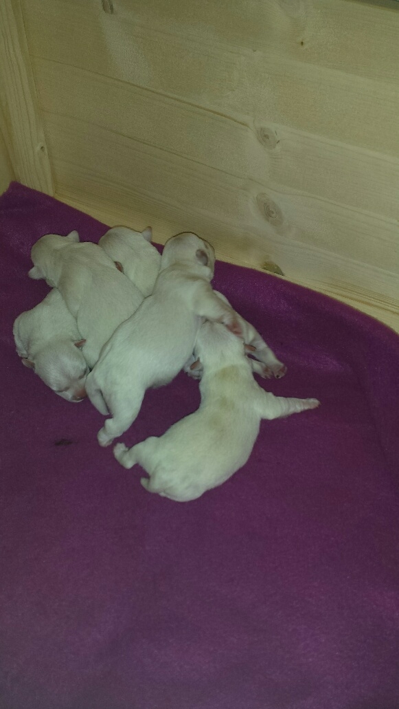 Die kleinen Racker!!!