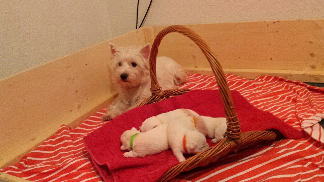 Mami passt immer auf uns auf