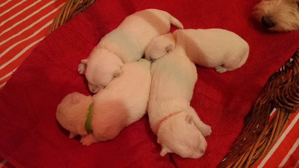 Wir schlafen noch ganz viel...