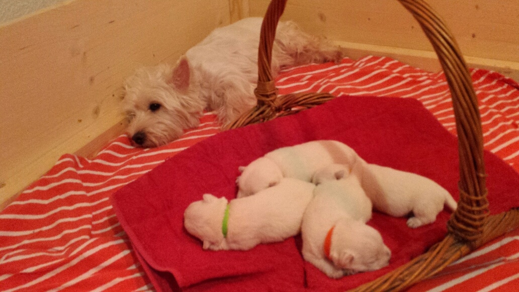 Mami kann sich auch mal ausruhen...