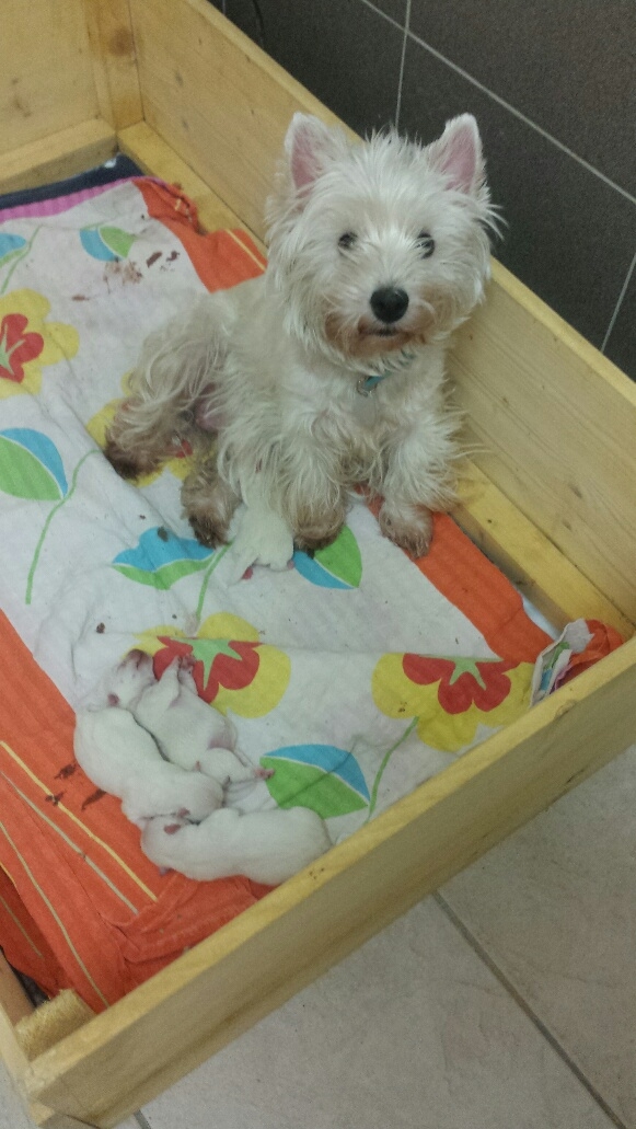 Mami mit ihren Kindern...