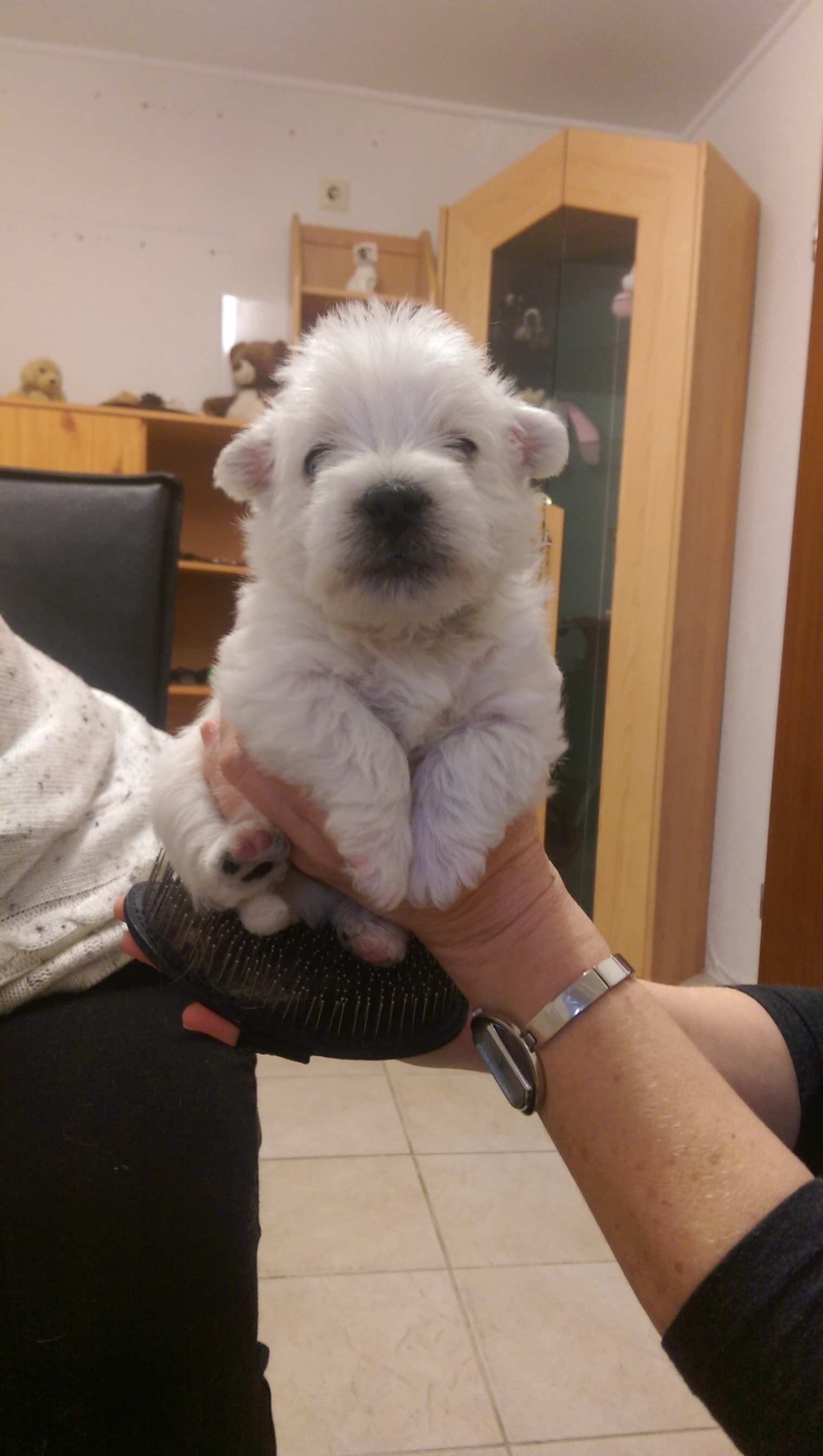 Und das ist Alisha, 4 Wochen alt