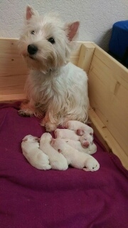 Assira und ihre Babys