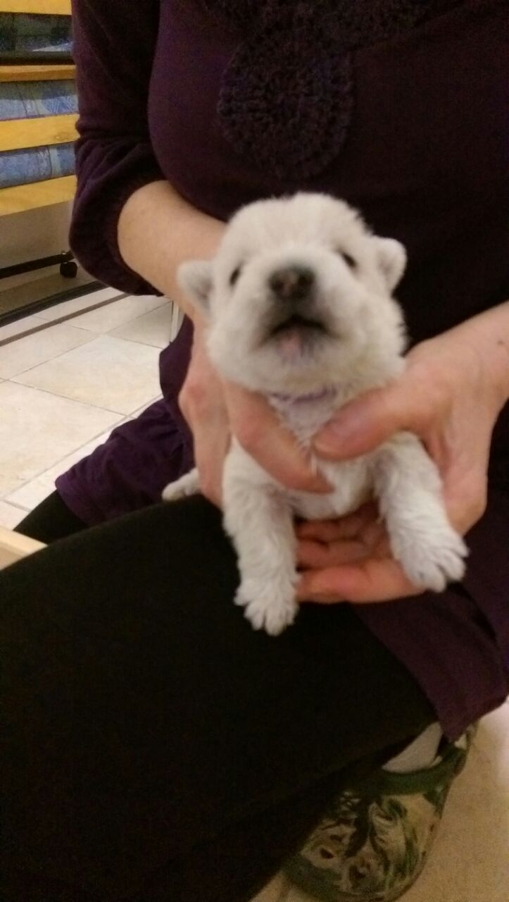 Bin ich nicht s&uuml;&szlig; ????