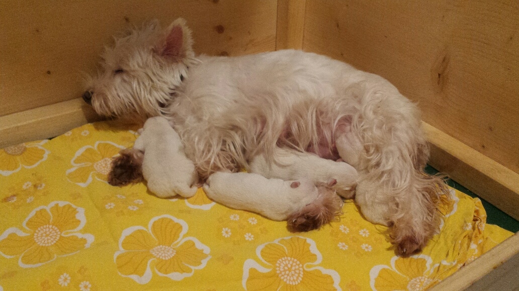 Mami und die Kinderchen...